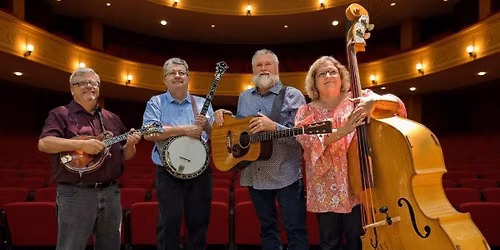 Willow Branch, Bluegrass, $15 Cover