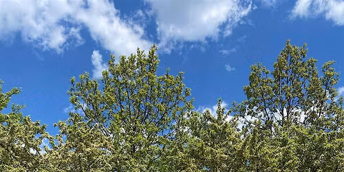 Skokie Sculpture Park Walk