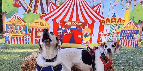 FALL PET FAIR