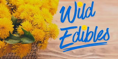 Wild Edibles 