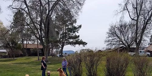 Pack Walk - 2nd Meetup!