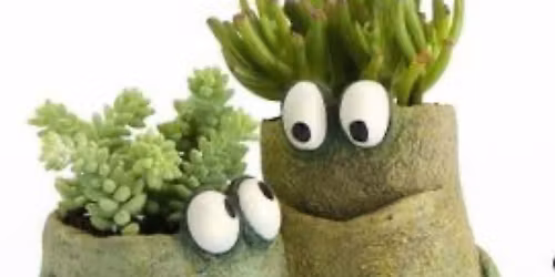 Coil Planter Buddies 2\/$40