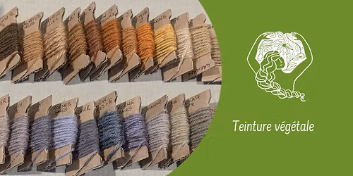 Initiation \u00e0 la teinture v\u00e9g\u00e9tale
