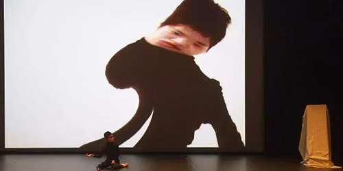 QUASIMODO AUX MIROIRS | NO ANGER, ARTISTE ASSOCIEX