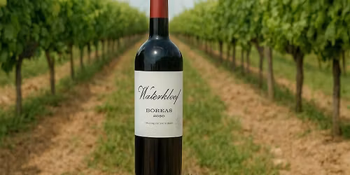 Stellenbosch via Stockport - Wines of Circumstance with Louis Boutinot