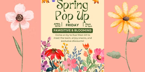 Spring Pop Up at DWAH