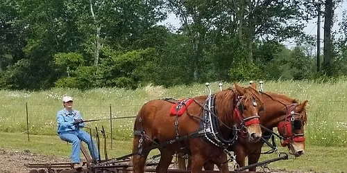 TDHMA Field Day \/ Trail Ride