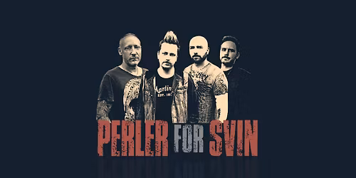 PERLER FOR SVIN P\u00e5 Ray's Bar