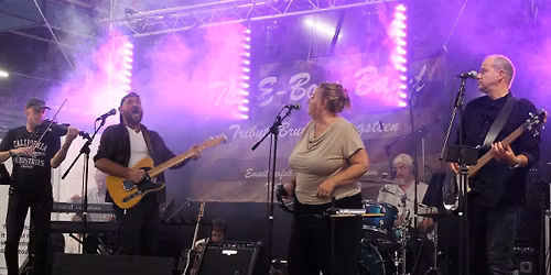 The E boss band , tribute bruce springsteen