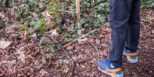 Deciduous Tree Communities Nature Day at Columbia Springs