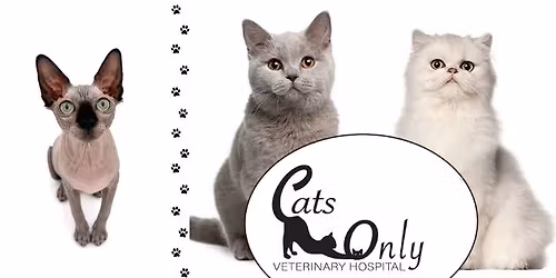 Pet Insurance Seminar for Rescues - In Partnership with Trupanion