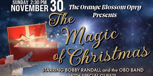 The Magic of Christmas