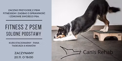 Fitness z psem - solidne podstawy.