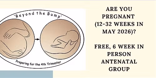 6 week Antenatal preparation course for the 4th trimester\/Beyond the Bump.