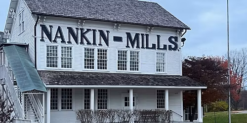 Home School - Turkeys!