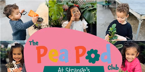 March Pea Pod Workshop: Pinecone Bird Feeders