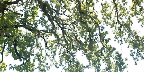 Credo HS Benefit feat. BRNGRL, Phthalo, Spiled the Zaza, Quit Your Job