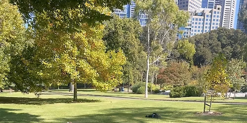 Grounded in Breath, Connected in Presence