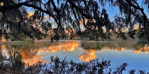 Nature Walk: Cultivating Awe, Compassion & Well-Being
