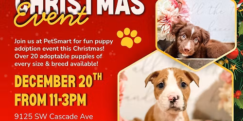 Puppy Pawlidays - A Christmas Adoption Event!