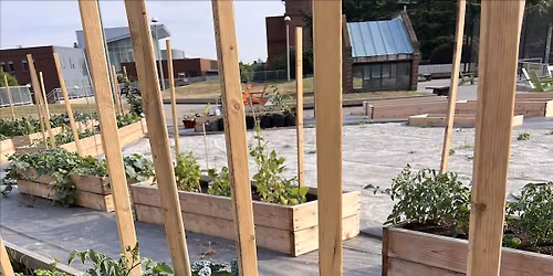 Gallaudet Garden Volunteer