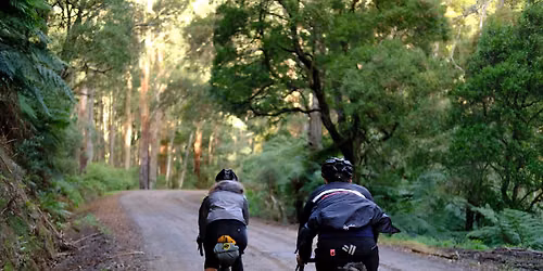 Audax Australia: Rockin Bunyip