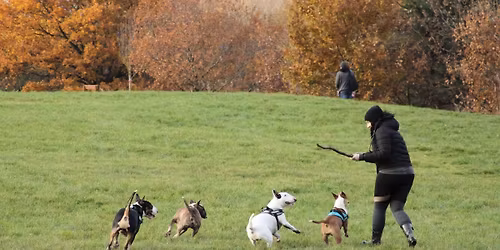 Sale Water Park Bullie Walk