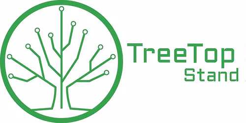 Staying Safe Online: Protecting Your Digital World