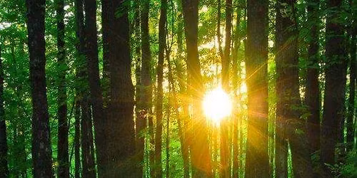 Homeschooling Support Meeting