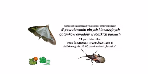 W poszukiwaniu obcych i inwazyjnych gatunk\u00f3w owad\u00f3w w \u0142\u00f3dzkich parkach