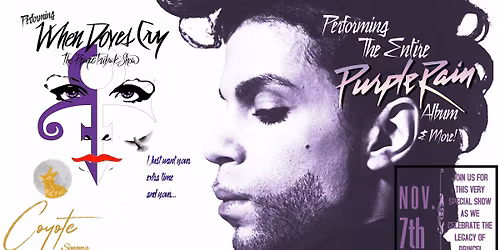 When Doves Cry - The Prince Tribute Show LIVE in Healdsburg, CA