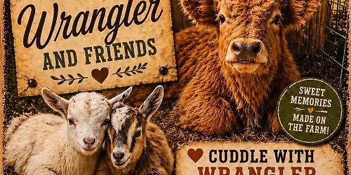 Wednesday Cow Cuddles with Wrangler and Friends
