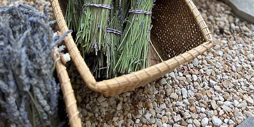 Lavender U-Pick \/ Sunday July 5th