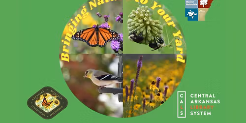 \ud83c\udf3f\ud83d\udc1d Bringing Nature to Your Yard \ud83e\udd8b\ud83c\udf3c
