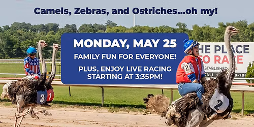 Memorial Day Exotic Animal Races