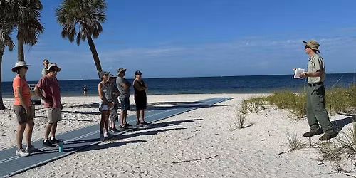 Guided Walk at Fred Howard Park