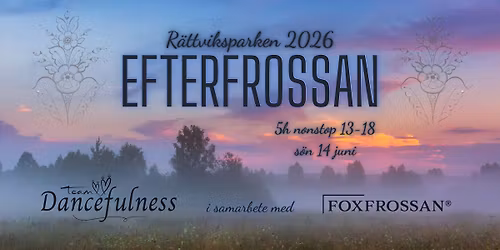 EfterFrossan 2026 med Team Dancefulness 