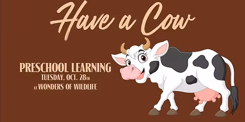 Preschool Learning Classes at Wonders of Wildlife