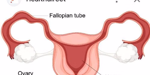 Gynaecology Clinic 