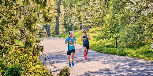 The Champion of Trees 10K