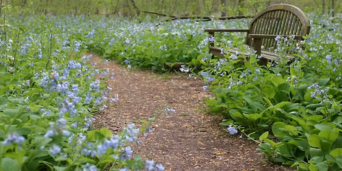 First Fridays- Free Admission