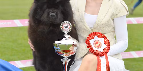 DKK Roskilde May 2026