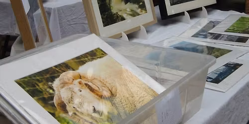 Abergavenny Market