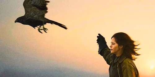 H Is For Hawk: Midweek Movie 