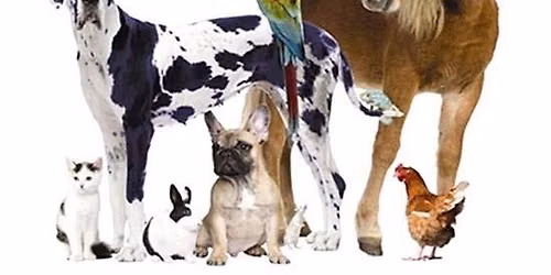 Blessing of the Animals