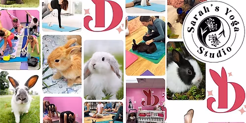 Bunny Yoga at Dolly Dream Home with Sarah's Yoga Studio