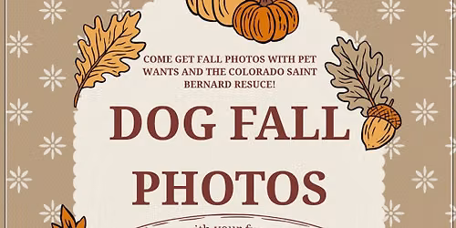Fall pet photos