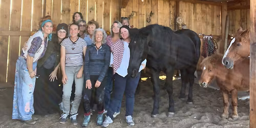 Constellations Familiales accompagn\u00e9es des chevaux