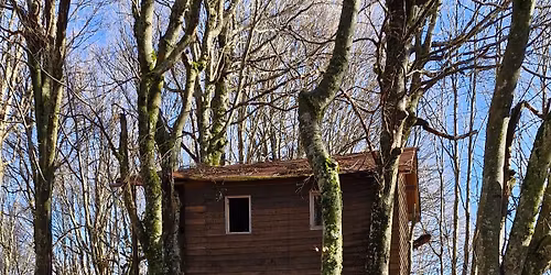 \u0392\u03b5\u03c1\u03b4\u03b9\u03ba\u03bf\u03cd\u03c3\u03b1- \u039a\u03bf\u03c1\u03c5\u03c6\u03ae \u039c\u03b1\u03bc\u03b1\u03bb\u03ae : \u038c\u03c4\u03b1\u03bd \u03b7 \u03b5\u03bc\u03c0\u03b5\u03b9\u03c1\u03af\u03b1, \u03b6\u03b7\u03c4\u03ac \u03b5\u03c0\u03b1\u03bd\u03ac\u03bb\u03b7\u03c8\u03b7.