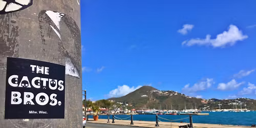 Cactus & Coral - St. Thomas, USVI